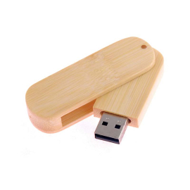 USB gỗ tre GT03